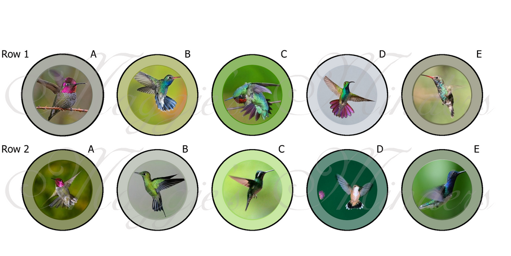 Hummingbird Needle Minder Designs